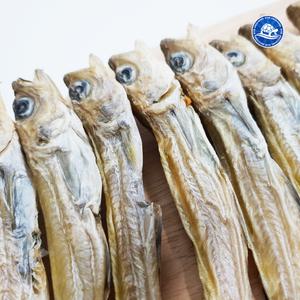 대구 줄노가리 100급 40마리 노가리