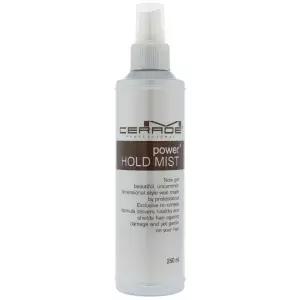 소망 엠세라드 파워 홀드 미스트 250ml