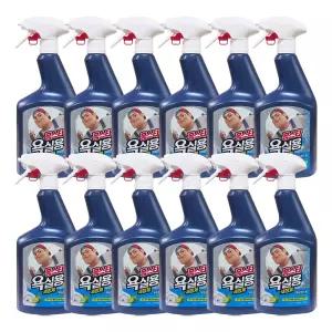 엘지생활건강 홈스타 맥스프레쉬 욕실용 세정제 900ml 12개 / 욕실 변기 물때 찌든때 곰팡이 청소세제