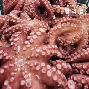 국내산 자연산 활 돌문어 산지직송 1KG 1미 4미 내외