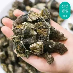 거제도 자연산 거북손 별미 해녀 채취 연안 / 거북손 1kg