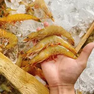 국내산 자연산 대하 1kg 20-30미 내외 생새우