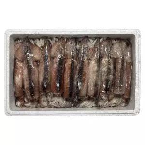 신진도 오징어 7-7.5kg 20미 1박스 동해안 냉동오징어 태안 서해안 신진항