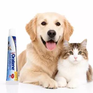 오라틴 자이목스 투스페이스트 젤 70g 강아지 고양이 구강 관리 치약 1개
