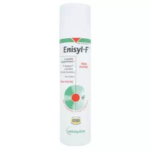 베토퀴놀 애니실F 100ml 고양이 허피스 칼리시 바이러스 엘라이신 영양제