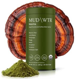 MUDWTR 버섯 말차 파우더 적응형 3 000mg 일본 블렌드 USDA 에너지 초점 및 면역 지원 라이온스 마네