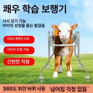 새끼 걸음마 축사 송아지 걷기 스탠딩 보행기 지탱 망아지