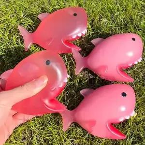 ( )햇빛이 좋은 태닝상어 말랑이-12EA
