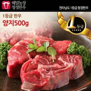전라도 청정한우 1등급 양지 500g