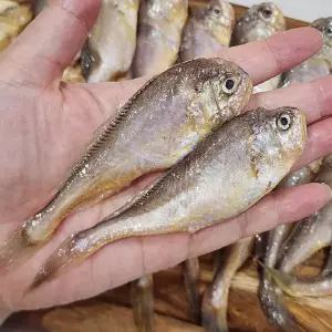 급냉 황석어 500g