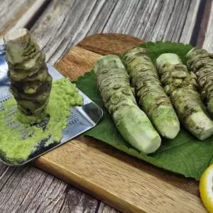 갈아먹는 생와사비 뿌리 고추냉이 2-4뿌리 70g (강판 세트)