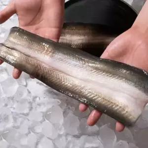 자포니카 민물장어 특대 1kg