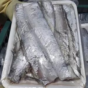 급냉 통영 제주 먹갈치 500g 3-4미 2.5지갈치 손질갈치 통영갈치 냉동갈치 흑갈치 칼치