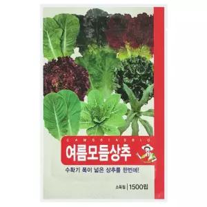 여름 모듬 상추 씨앗, 1개