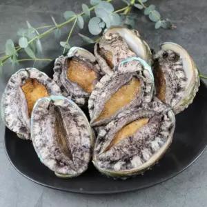 [해남미소] 땅끝어부 전복 1kg (11-12미)(해조류포장)