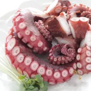 여수 통영 자연산 돌문어 1kg 1-3미 당일조업 활문어