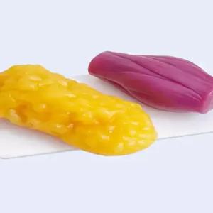 체지방 모형 교육 근육 지방 제품 지방모형 덩어리 병원교육 해부학 실리콘 병원 조직