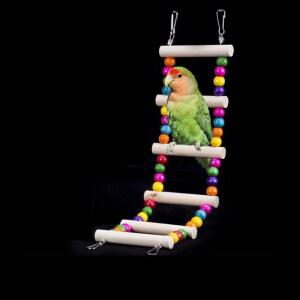 앵무새횟대 천연 나무 애완 동물 앵무새 사다리 CONURES 칵테일 걸이식 등반