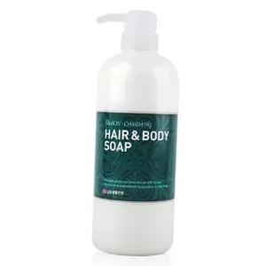 남성용 올인원 샴푸 바디워시 겸용 대용량 멀티 클렌저 730ml 목욕용품 바디앤헤어워시 대용량바디워시