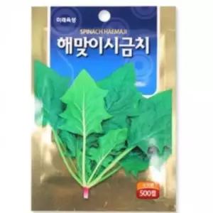 모종 텃밭 가꾸기 시금치 씨앗 500립 상추씨앗 꽃씨앗 씨앗심기 씨앗재배 (WE462E9)