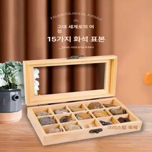 발굴 키트 화석 체험 뼈 표본 공룡 교구 교육 STEM