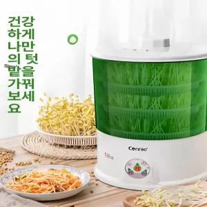 새싹재배기 콩나물키우기 가정용 새순 키우기 콩나물기르기