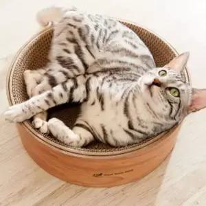 친절한탄씨 고양이 스크래쳐 베드 디쉬 스크래치 장난감 고양이원목캣타워 고양이타워 고양이숨숨집