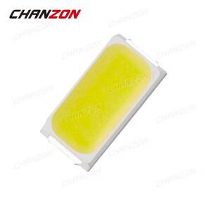 100pcs SMD 3014 LED 발광 다이오드 램프 칩 화이트 색상 0.1W 3V SMT 마이크로 0.1Watt 표면 실장 비즈 DI