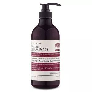 프라젠트라 안티 헤어로스 트리트먼트 샴푸 750ml