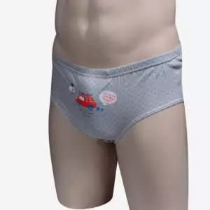 초등생 남자 어린이 순면 삼각 팬티세트(5매입) (WDA6332)
