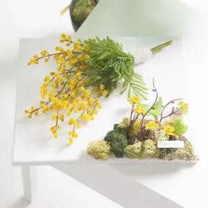 아트박스/플라워트리 미모사 조화 캔버스 액자 드라이 set 30cm 장식 소품