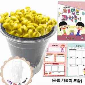 어린이 콩나물 재배 세트 관찰 기록지 포함 가정용과학키트
