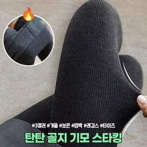[하프클럽/]코튼 슬림핏 캠퍼스룩 타이즈