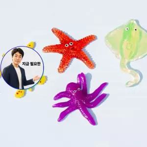 지금 필요한 물말랑이 4개세트 바다친구찐득이