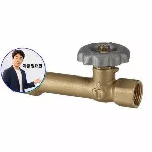 지금 필요한 15K 밸브 스팀용 사이폰밸브 15A-10A