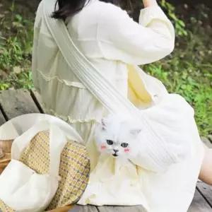 반려동물 외출용 산책 가방 패션 크로스백 만두백