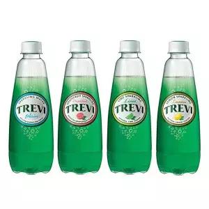 [셀러허브]트레비 라임10개+레몬10개+플레인10개+자몽10개 300ml 40개 (S40903300)