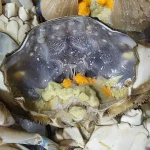 국산 활 암꽃게 1kg