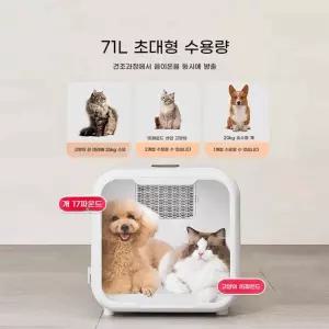 드라이기 송풍기 펫드라이룸 애견 드라이어 고양이 강아지