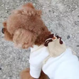 [반려] 강아지 매는 뜨개 1P 베이지 힙색 가방 착용 패션