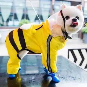 [반려] 강아지 야광띠 벌꿀우비 장마 애견 반려견 산책 레인코트 올인원 비옷