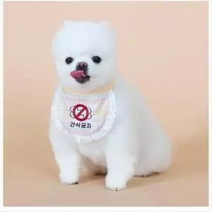 [반려] 간식금지 애견 케이프 체크무늬패턴 면레이스 강아지스카프빕