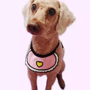[반려] 애견스카프 강아지 턱받이 대 A 애견턱받이 강아지턱받이 강아지케이프