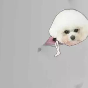 강아지 끌레 메쉬 이동가방 슬링백 파스텔핑크