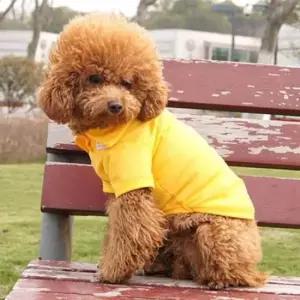 [PET] 애견 강아지옷 애견실내복 옷 애견티셔츠 여름