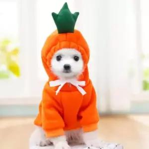 [PET] 애견옷 S 강아지옷 과일옷 고양이옷 당근 귀여운