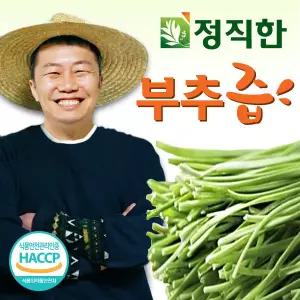 정직한건강즙 국내산 100% 노지 부추즙 110ml 30포