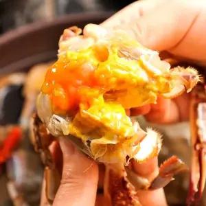 [대용량] 알이 꽉찬 삼점 암꽃게장 간장게장 2kg+2kg (총 4kg구성)_24026018