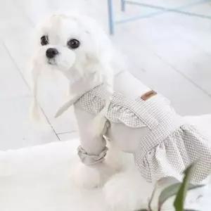 [펫] 강아지 1P 외출복 베이지 패션 산책 원피스 리본 체크