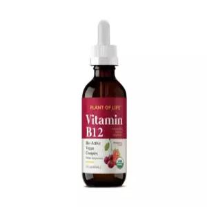 플랜오브라이프 아마존판매 비타민B12 드롭형 60mL
